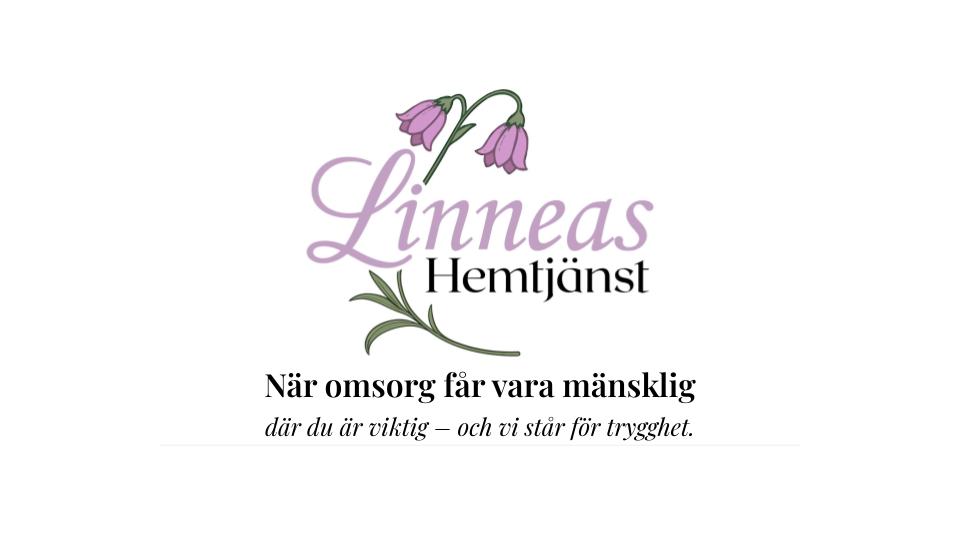 A young woman wearing a white t-shirt and yellow cleaning gloves is wiping a window with a cloth, smiling as she enjoys the sunlight streaming in. Green plants are visible in the foreground.